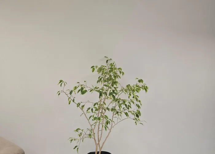 Хостел Transhostel Kaktus *